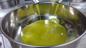 Oleum "sibi" submitted for analysis